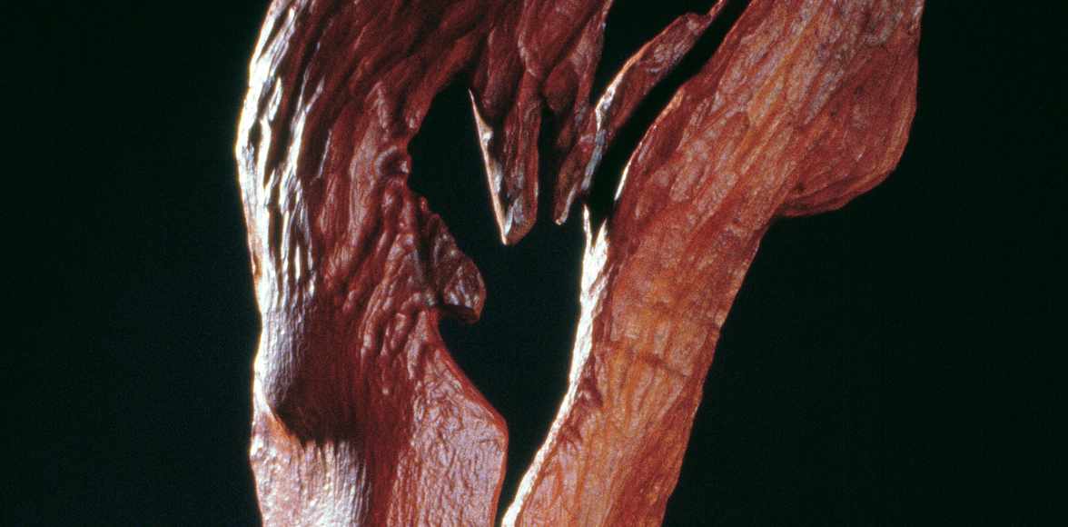 Wooden Sculptures